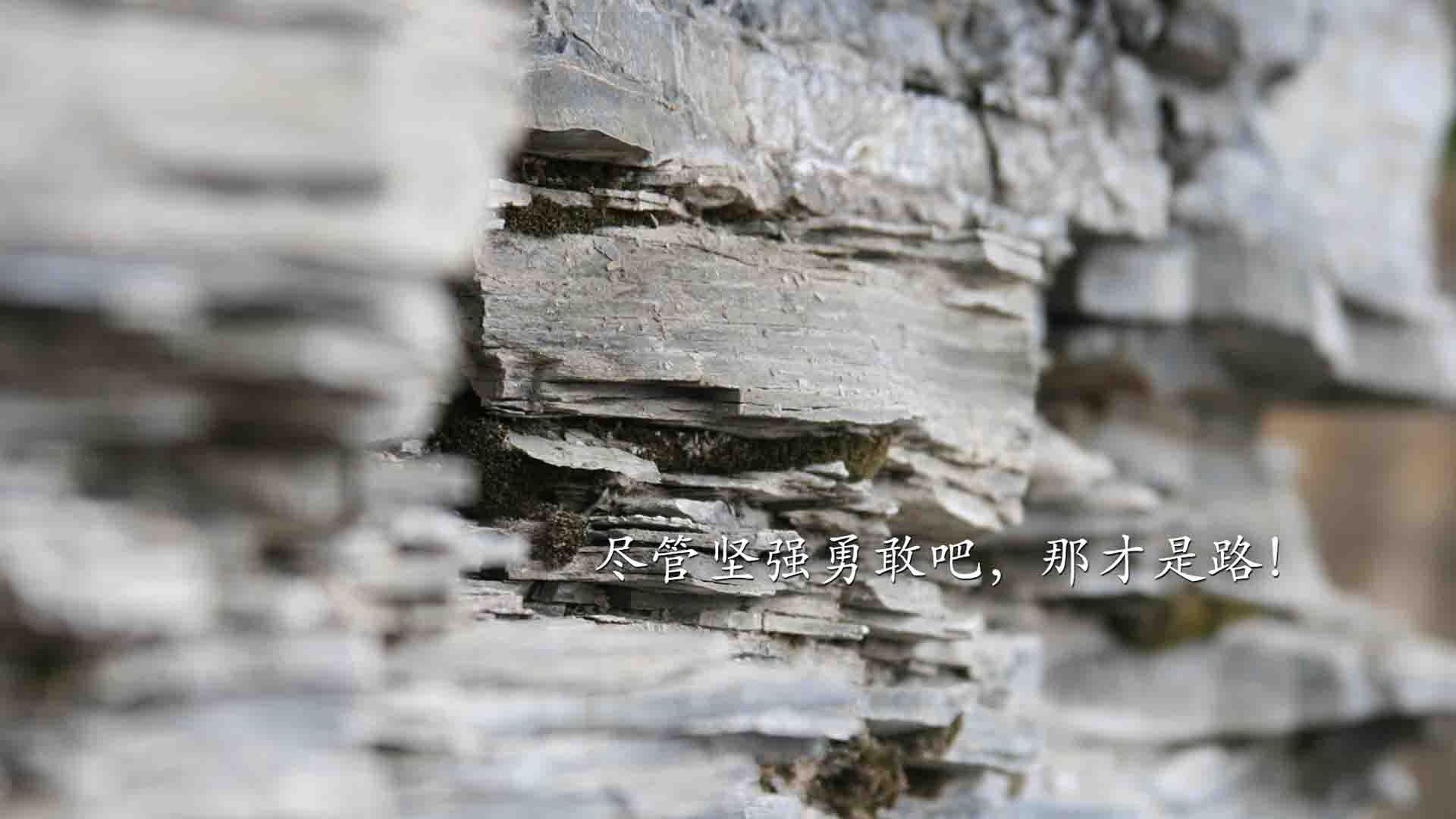 《赛事背后的故事：队伍磨合与选手成长》，队员磨合