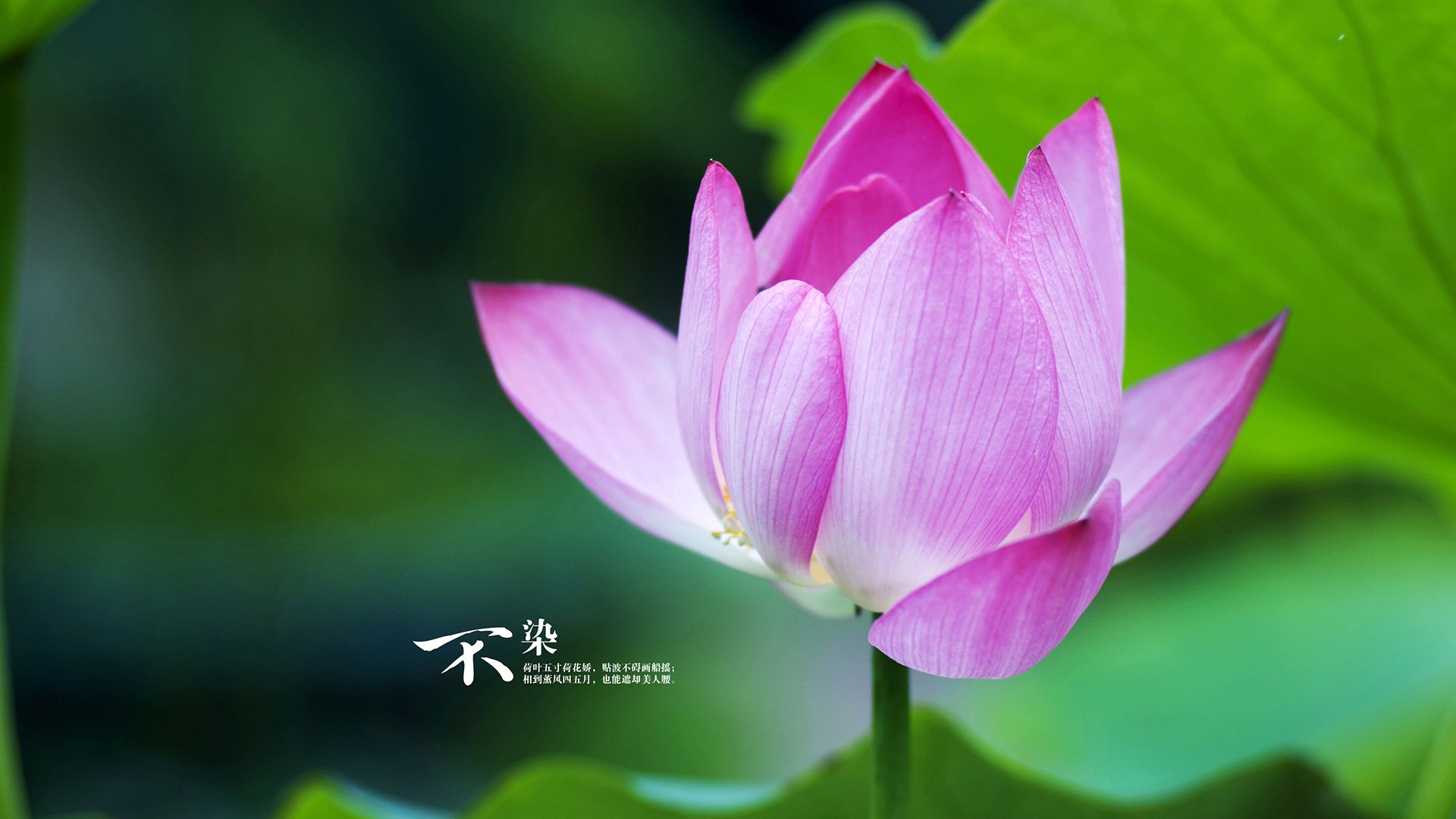 高校运动康复训练课程建设与应用，运动康复技术学陈建