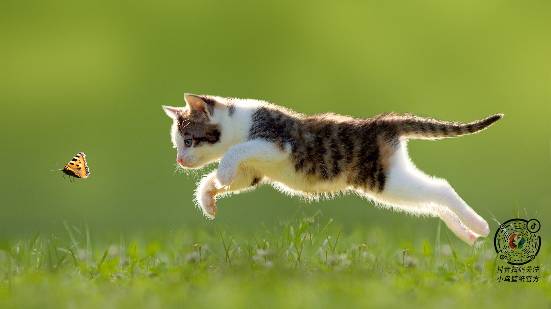 AYX SPORTS-成都世运会誓师大会举行，百日冲刺全面启动，世运会 成都 主会场