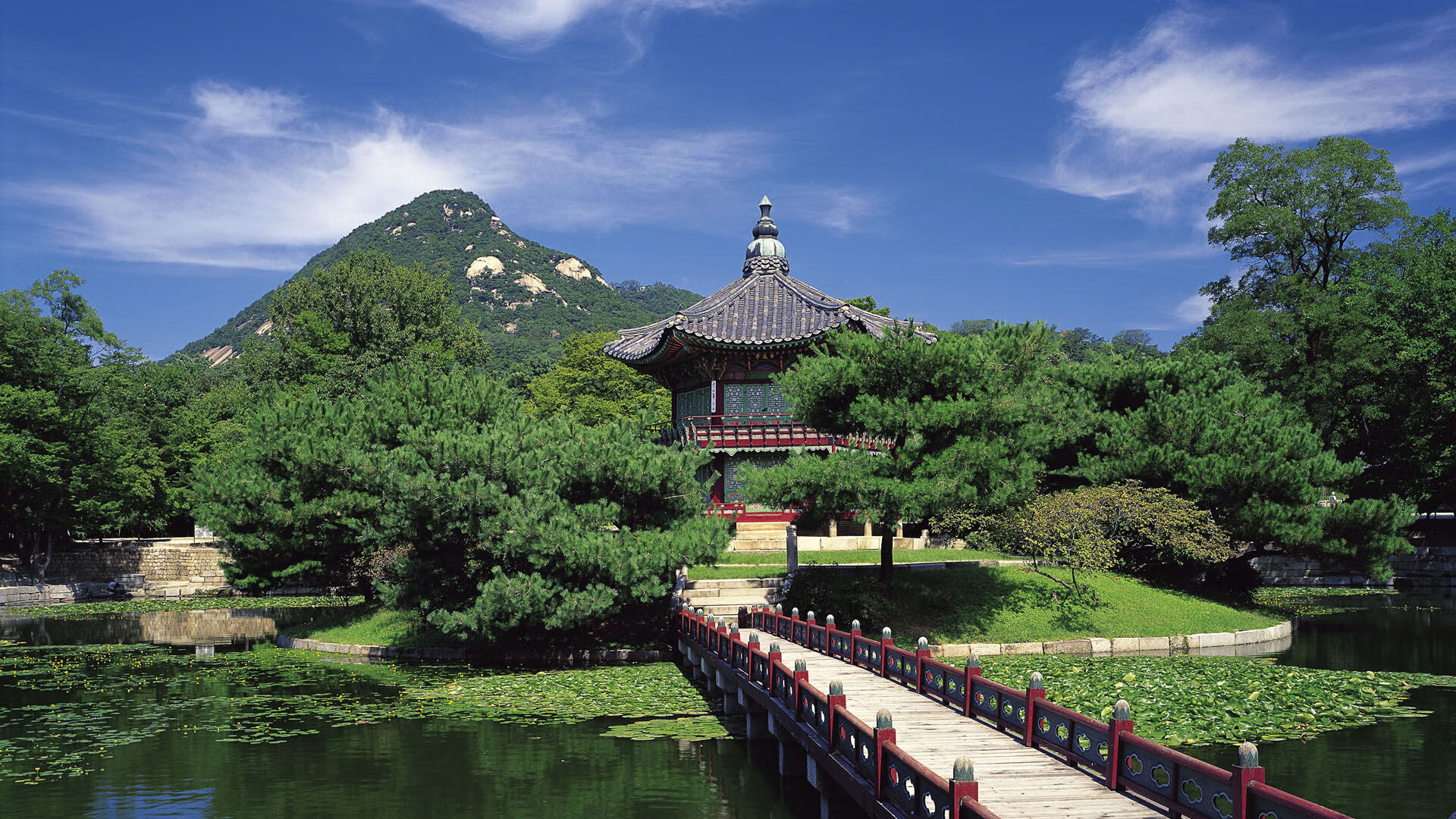 AYX GAMING-美国队赛制解析：如何利用赛制的规则制定优化战术部署，美国参赛队