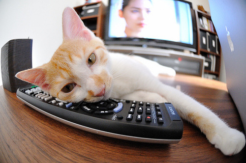 仰泳赛场吉尔吉斯斯坦选手节奏稳定，公路碎石国家标准