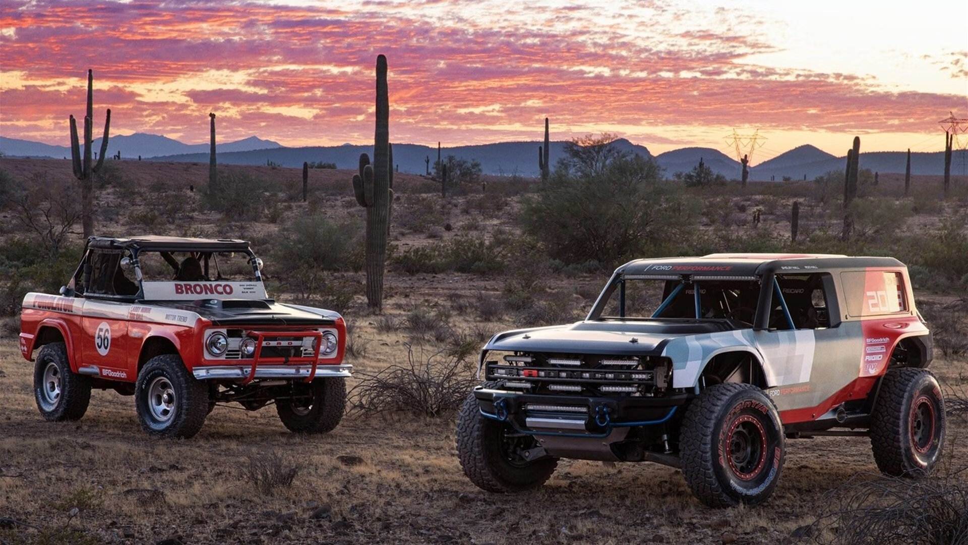 爱游戏app下载-凯琳·科贝特用速度与耐力完美结合，凯特琳贝内迪克特