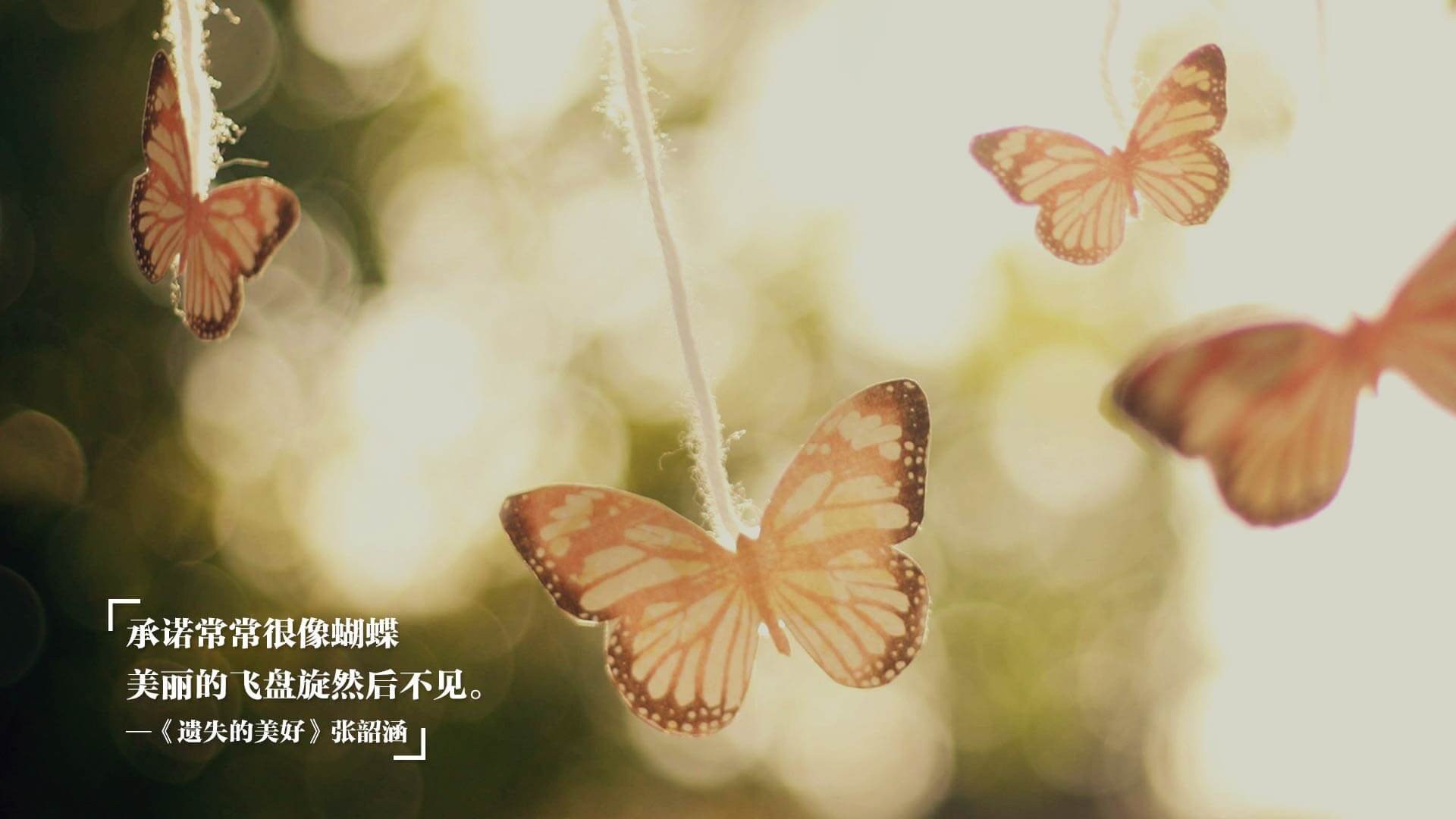 意甲绝妙配合：精彩瞬间层出不穷，意甲经典比赛如c77 tv