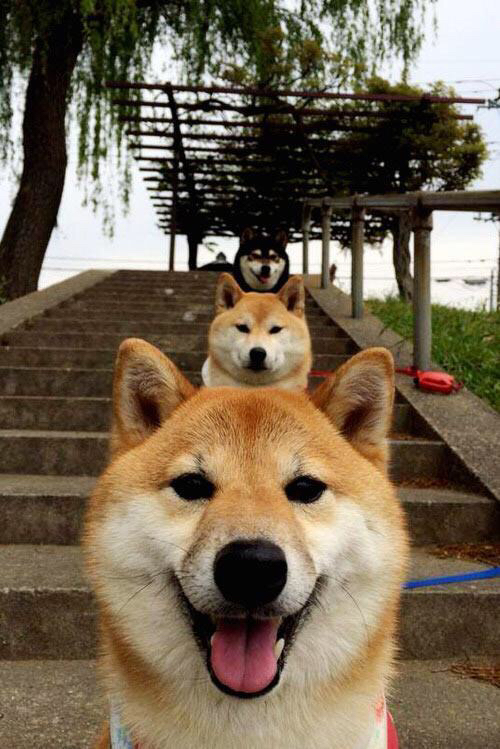 欧洲杯决胜瞬间：战术变革点燃全场！，欧洲杯决赛低调