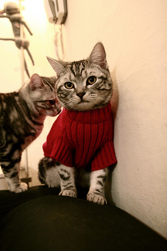 男子国家队强化外线投射提升进攻多样性