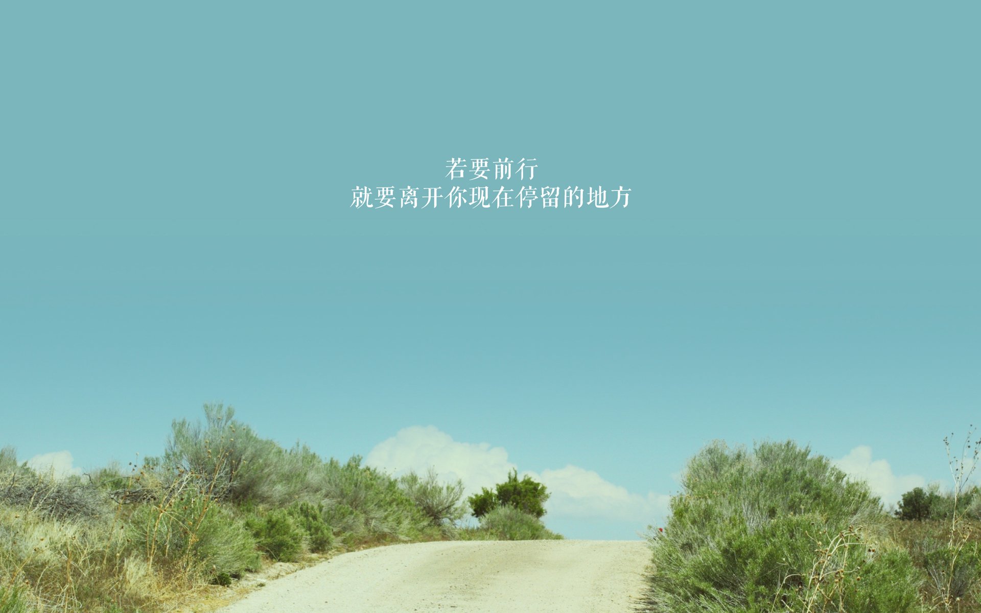 老鹰后卫突破效率提升连得关键六分，老鹰的后卫是谁