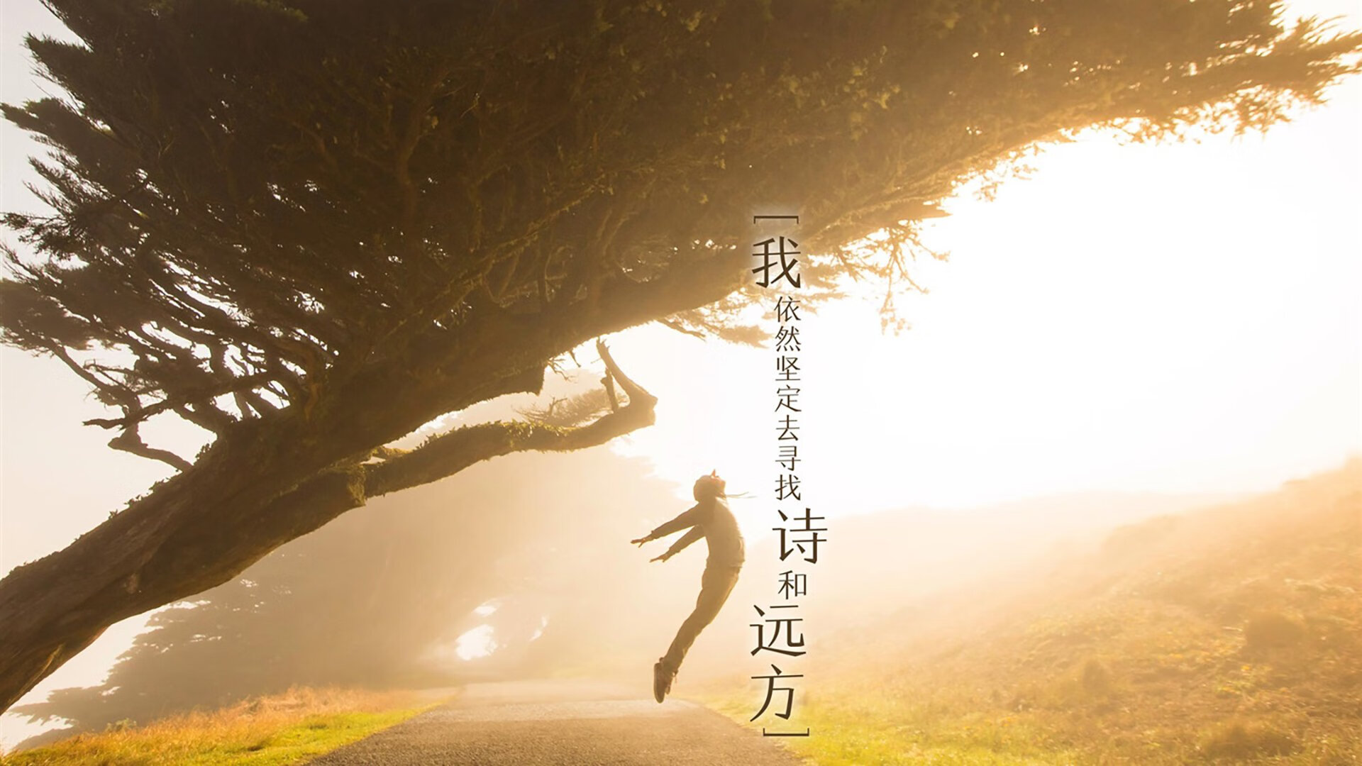 詹姆斯新纪录引发网友热议,詹姆斯2021